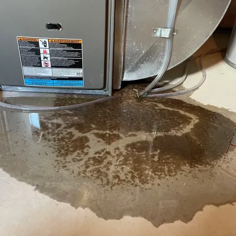 Appliance Leak Cleanup in Balmville, NY